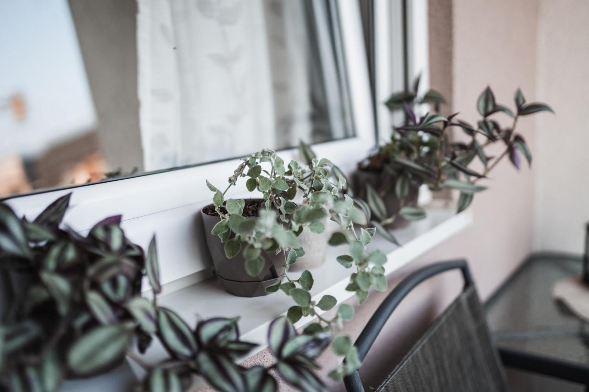 Apartman Centar Doboj Exterior photo
